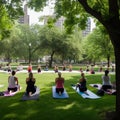 Yoga woman on green grass. big group of adults attending a yoga class outside in park Yoga at park. Senior family couple Royalty Free Stock Photo