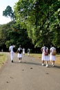 A group of young Sri Lankan school children walking in the botanical garden in Kandy, Sri Lanka. School kids on a tour with