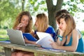 Group of young student using laptop outdoor