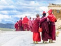 Group of Young tibetan Monks in Sichuan Royalty Free Stock Photo