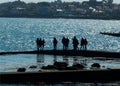 A group of young visitors caught in silhouette having fun at the East Pier in Dunlaoghaire Harbor on a bright spring morning