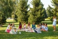 Group of young women sit on picnic blanket in green summer park. Summer weekends