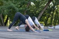 Group of young women in Adho Mukha Svanasana. Girls practice yoga in downward dog position in park. Morning fitness