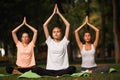 Group of young women practicing yoga, morning meditation in nature at the park