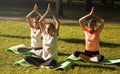 Group of young women practicing yoga, morning meditation in nature at the park