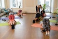 Group young women stretching and practices yoga Royalty Free Stock Photo