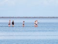 Group of youngsters wading in shallow water near sand flat at lo