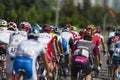 Group of Youth Road Cyclists in Professional Peloton During International Road Cycling Competition Grand Prix Minsk-2017