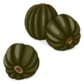 Group of Zapallo Macre Squash. Clipart