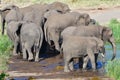 Group of zebras at waterhole,South Africa