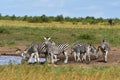 Group of zebras at waterhole,South Africa