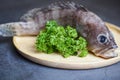 Grouper fish on wooden plate, Fresh raw seafood fish for cooked food Royalty Free Stock Photo