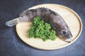 Grouper fish on wooden plate, Fresh raw seafood fish for cooked food Royalty Free Stock Photo