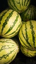 grouping close-up of watermelons in a market Royalty Free Stock Photo