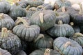 Grouping of fall pumpkins ready for sale at local farmstand Royalty Free Stock Photo