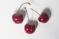 Groupp of three glazed cherries with stems Royalty Free Stock Photo