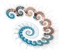 Groups Of Blue And Brown Spirals Are Stacked Into A Large Fluffy Spiral In A Shell On A White Background. Abstract Fractal