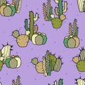 Groups of different types of decorative stylized cacti on a purple background.