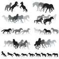 Groups of isolated horses silhouettes-3