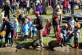 Groups of people helping release fish into water,Saratoga State Park,New York,2016