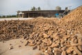 Groups of raw cassava size in silo at rural of Thaland Royalty Free Stock Photo
