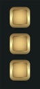 Groups of Three rectangle blank, button, banner, user interface in gold and premium for website UX,UI vector concepts design