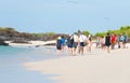 Groups of tourists walking on Galapagos beach