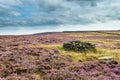 A grouse butt on Ilkley moor Royalty Free Stock Photo