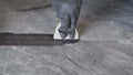 Grouting ceramic tiles. Tilers filling the space between tiles using a rubber trowel. Grouting after laying ceramic Royalty Free Stock Photo