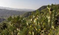 View in O`Neill Regional Park