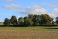 Grove and cultivated field in Aisne Royalty Free Stock Photo