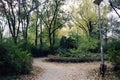 grove in a park on the Margaret Island in Budapest Royalty Free Stock Photo