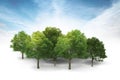 Grove on white with blue sky and clouds background