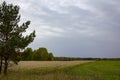 Groves and autumn fields