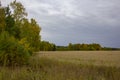 Groves and autumn fields