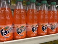 Food Lion grocery store Fanta orange soda 6 packs Royalty Free Stock Photo