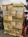 Grocery store Whole cases of corn shipment front view Royalty Free Stock Photo