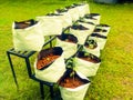 Grow Bags with vegetable saplings in a vertical stand outside.