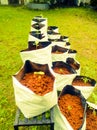 Grow Bags with vegetable saplings in a vertical stand outside.