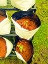 Grow Bags with vegetable saplings in a vertical stand outside.