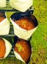 Grow Bags with vegetable saplings in a vertical stand outside.