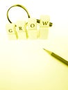 Grow concept Royalty Free Stock Photo