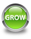 Grow glossy green round button Royalty Free Stock Photo