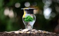 Grow green trees on money in energy-saving light bulbs, including graduation hats.