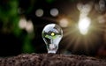 Grow green trees on money in soft light energy saving bulbs with the idea of economic growth. Royalty Free Stock Photo