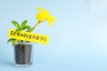 Grow and nurture forgiveness concept. Plant on pot with flower on blue background with copy space.