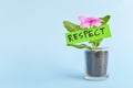 Grow and nurture respect concept. Plant on pot with flower on blue background with copy space.