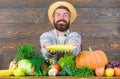 Grow organic crops. Farmer straw hat presenting fresh vegetables. Man cheerful bearded farmer hold corncob or maize Royalty Free Stock Photo