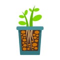 Grow plant rock pot icon, flat style Royalty Free Stock Photo