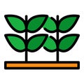 Grow plants icon color outline vector